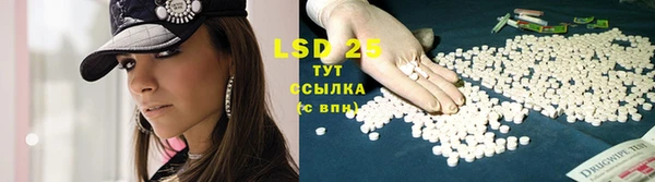 spice Елизово