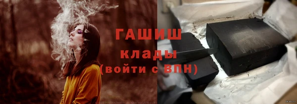 мдпв Краснослободск