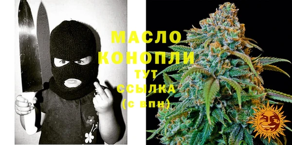 молекула духа Елабуга